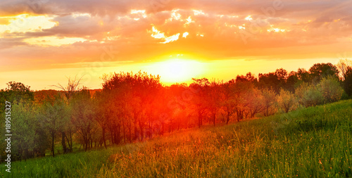 Spring meadow at sunrise © denis_333