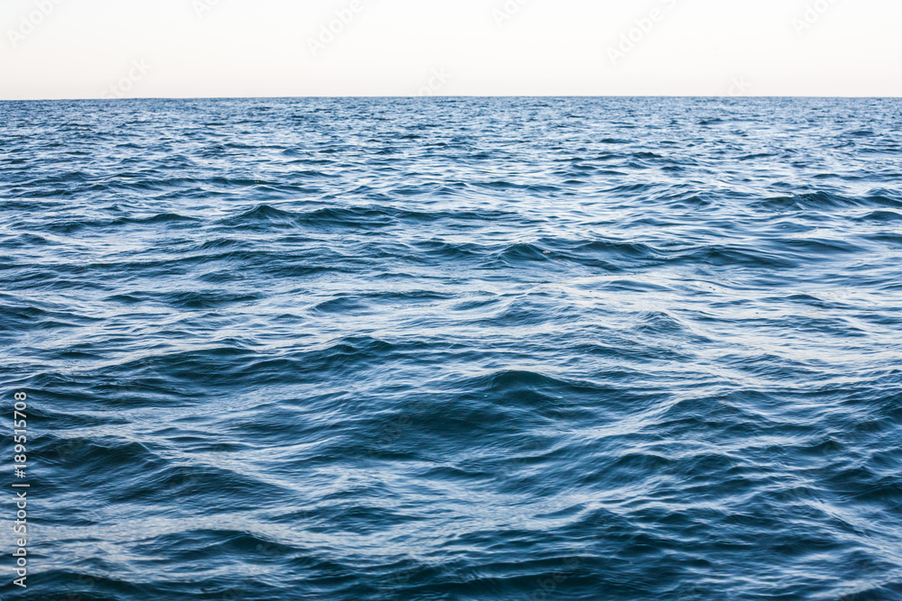 Obraz premium Delphine watching