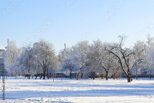 Красивый зимний пейзаж с деревьями в инее и снегу. Солнечный зимний день.  © per444inka