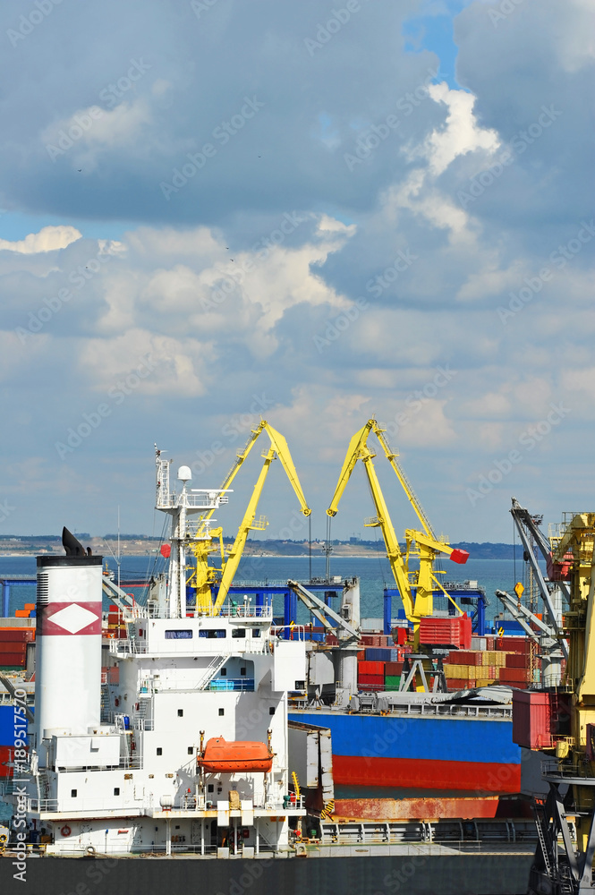 Bulk cargo ship under port crane