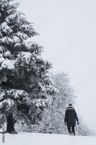 girl a walk in winter landscape, beautiful snow-covered countryside. woman wearing black coat and winter hat. photo