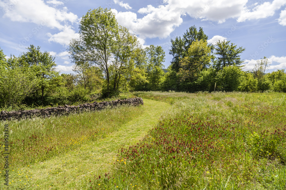 Parc de Pedra Tosca,Park Pumice stone,project by RCR Arquitectes,volcanic area La Garrotxa.Les Preses,Catalonia,Spain. Parc de Pedra Tosca,Park Pumice stone,project by RCR Arquitectes,volcanic area La Garrotxa.Les Preses,Catalonia,Spain.