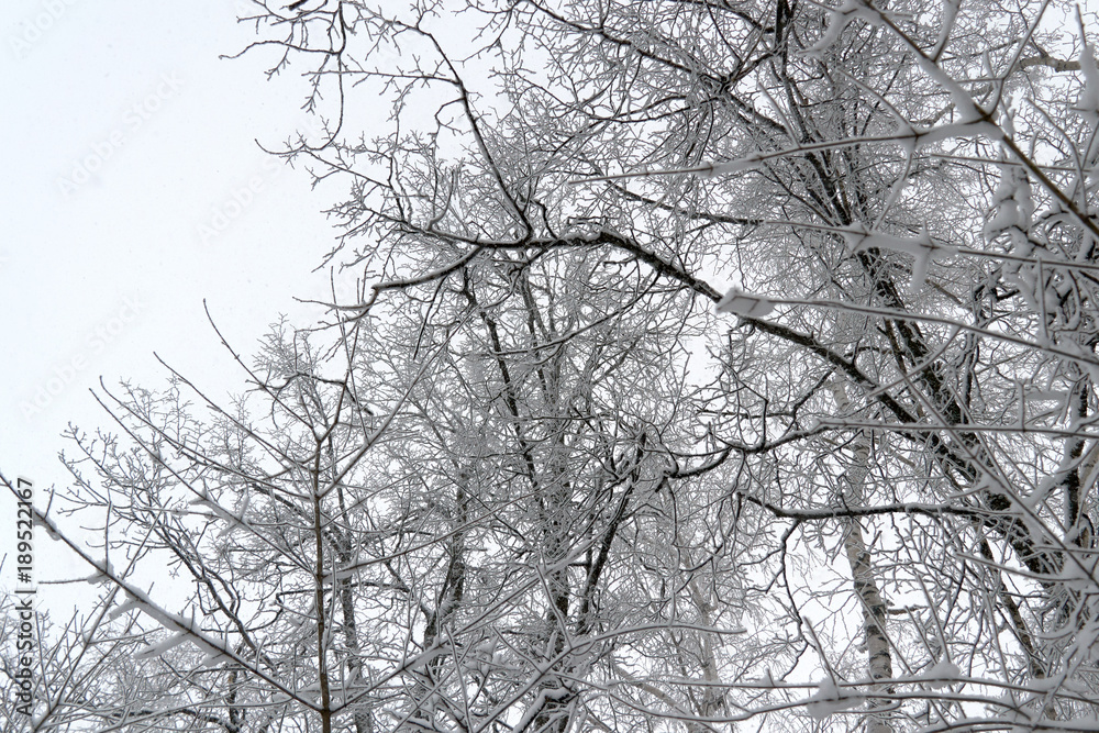 top beautiful ice top beautiful ice