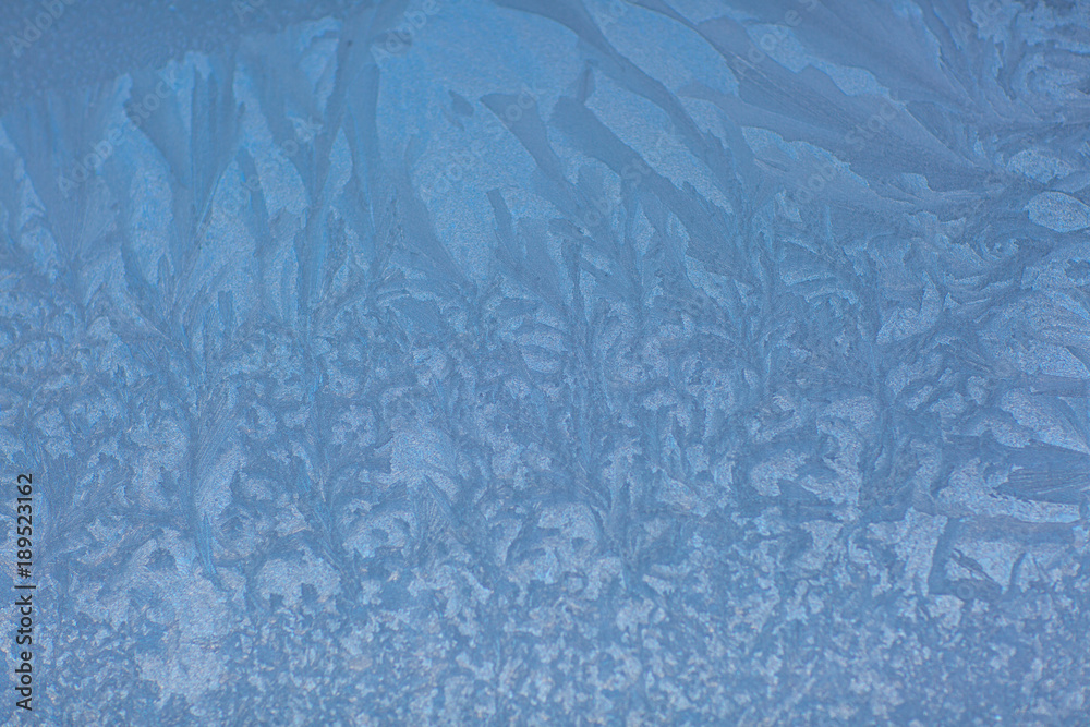 frost on the glass frost on the glass