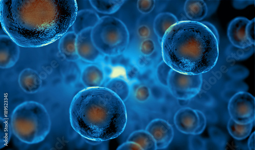 Embryonic stem cells , Cellular therapy , Regeneration , Disease treatment photo