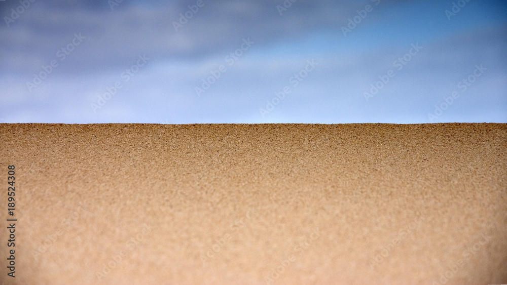 Sunny Desert