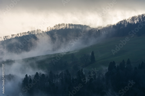 Nebel am Berge - Neblige landschaft