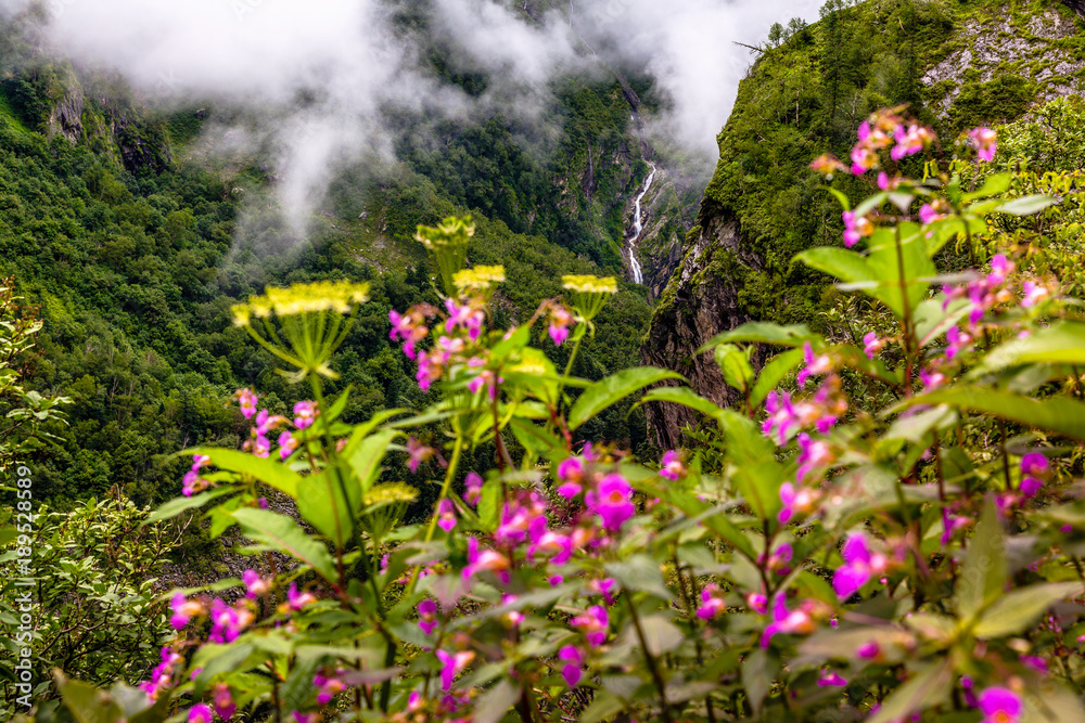 Beautiful Trek in Uttarakhand called Valley of Flowers in Himalayas, Nanda Devi biosphere national park, amazing landscape, mountains, hills, foggy, misty, rain, monsoons, colorful flowers, wallpaper Beautiful Trek in Uttarakhand called Valley of Flowers in Himalayas, Nanda Devi biosphere national park, amazing landscape, mountains, hills, foggy, misty, rain, monsoons, colorful flowers, wallpaper