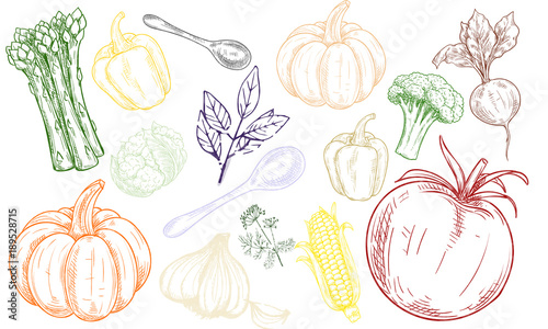 painted vegetables on a white background