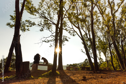 Photography A dog and a woman watch the sunrise together at Kemmangundi in Karnataka, India