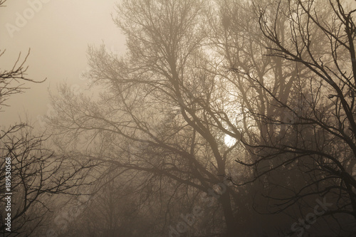 Levée de soleil en hiver