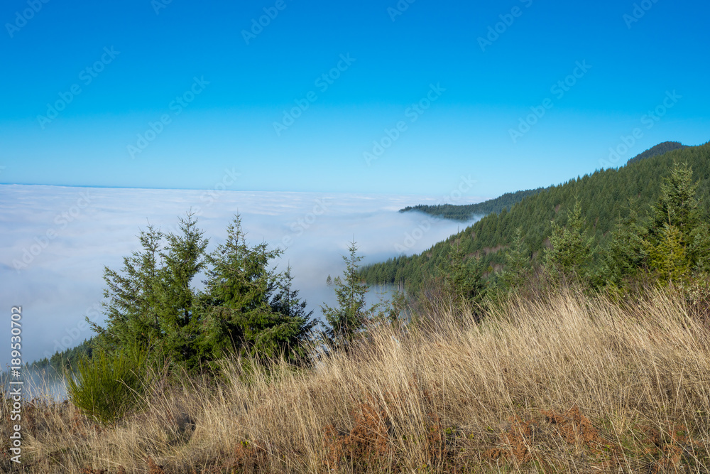 Above the Clouds in Coburg Hills of Oregon