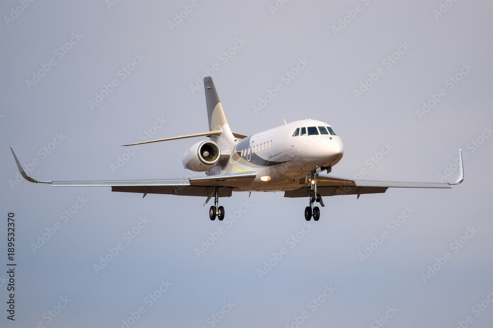 Small private business jet landing at the airport Small private business jet landing at the airport