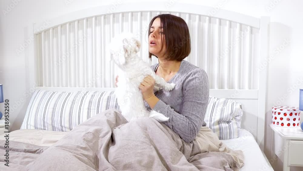 Little puppy dog kissing woman face in bed funny medium shot Little puppy dog kissing woman face in bed funny medium shot