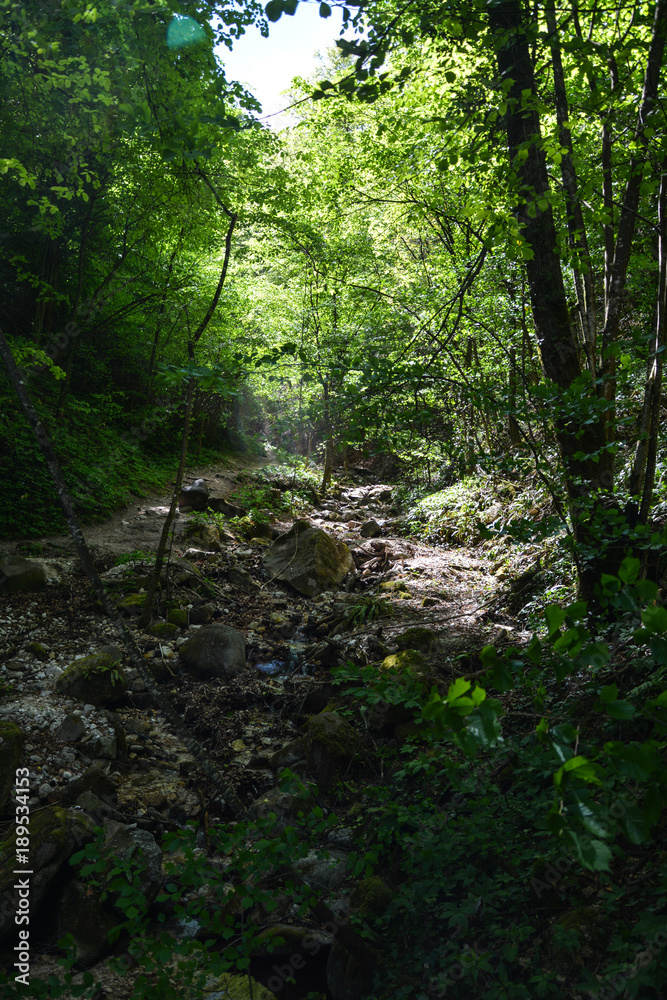 Rastenbachklamm, Südtirol, Italien