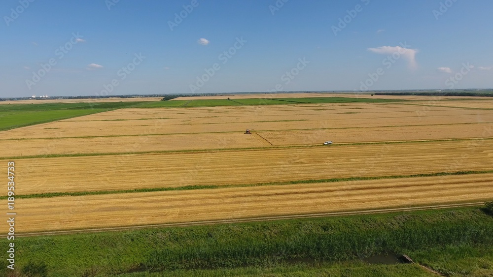 Harvesting barley harvesters. Fields of wheat and barley, the work of agricultural machinery. Combine harvesters and tractors.
