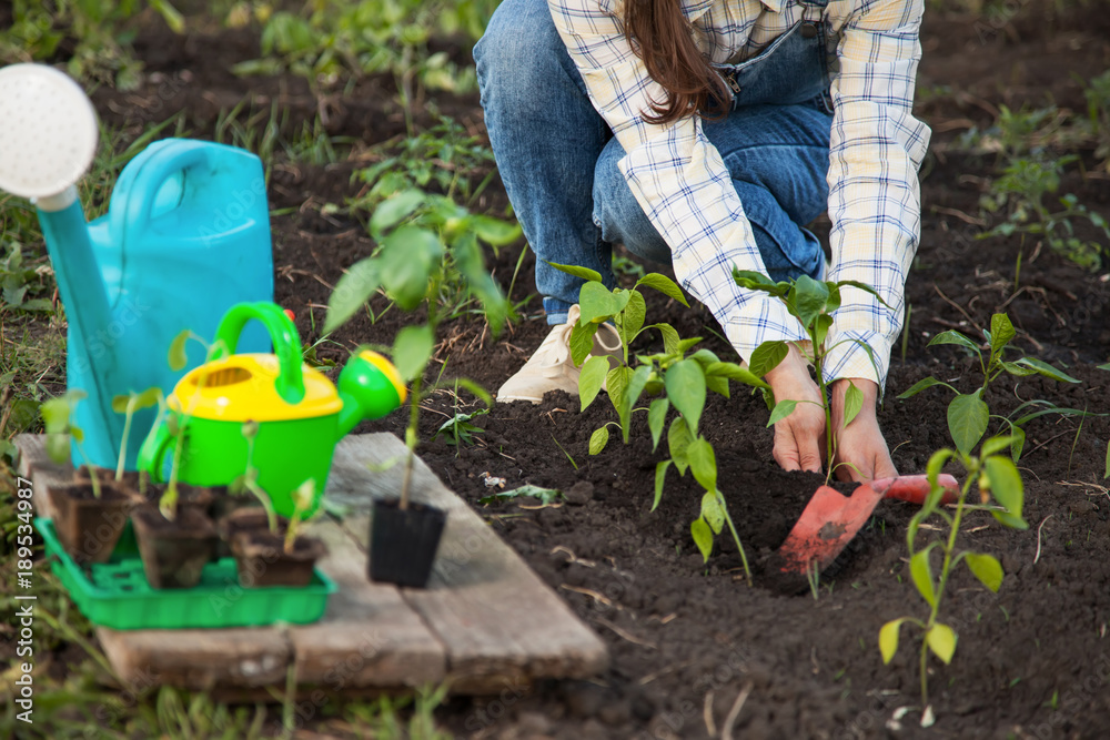 Fototapeta premium Girl in the garden makes planting seeds