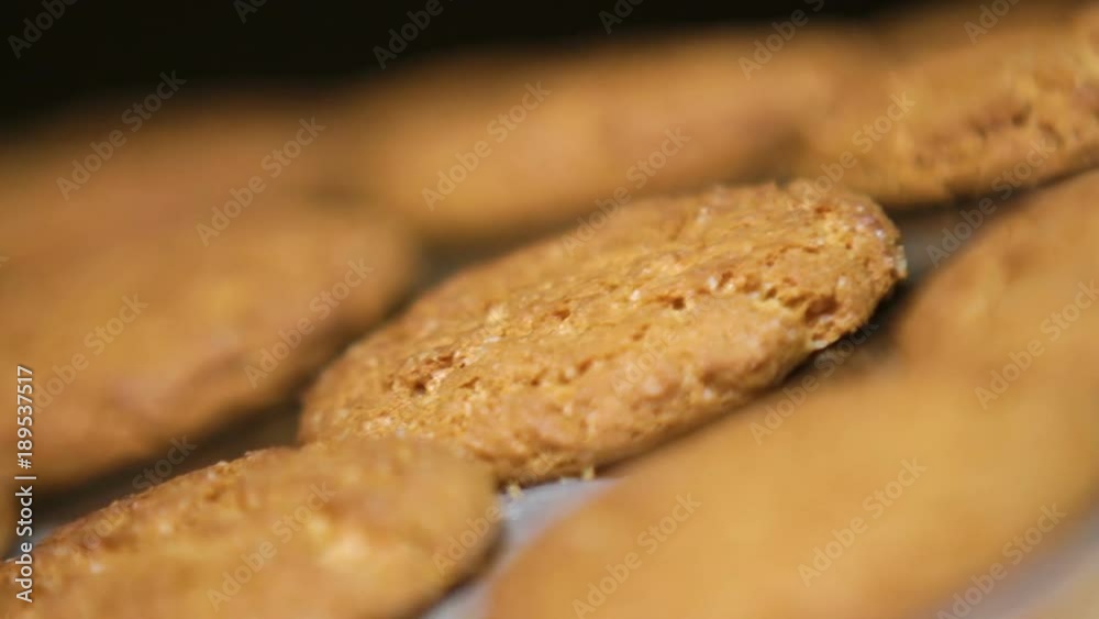 Oatmeal cookies move along the conveyor belt close up. Cookies leave the oven in the bakery. Freshly baked cookies. Process of producing cookies. Oatmeal cookies move along the conveyor belt close up. Cookies leave the oven in the bakery. Freshly baked cookies. Process of producing cookies.