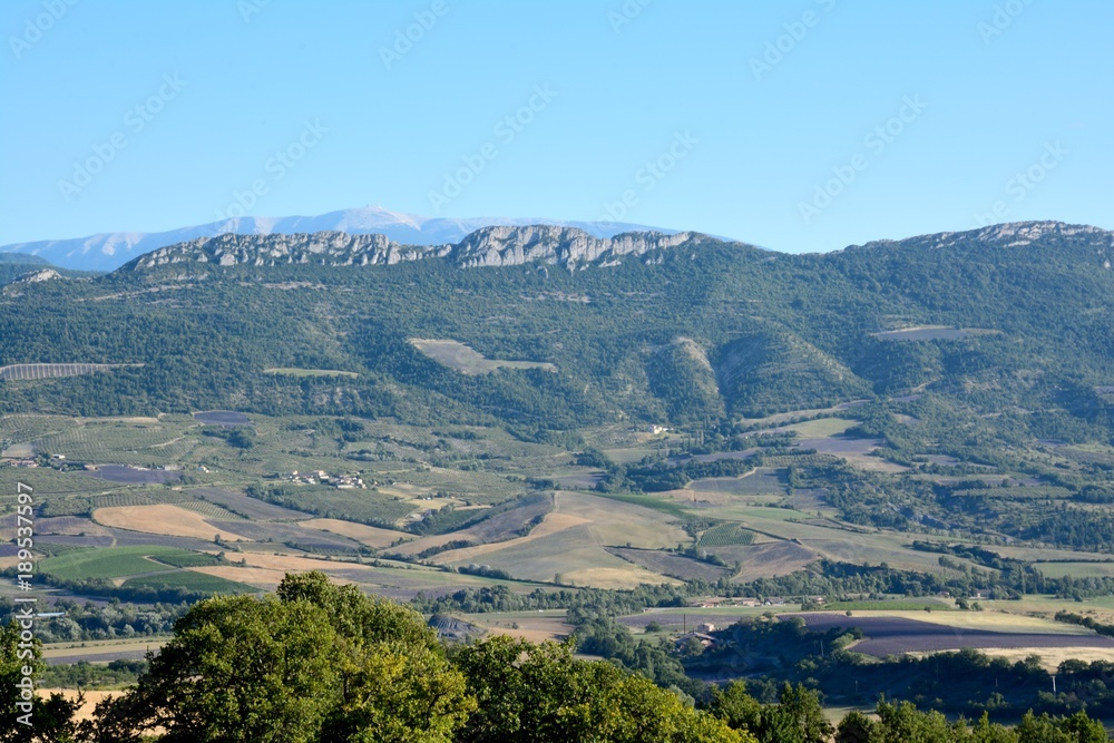Landscape made of trees, fields and meadows, with mountains and the 