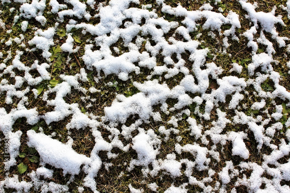 A dusting of snow on the ground A dusting of snow on the ground
