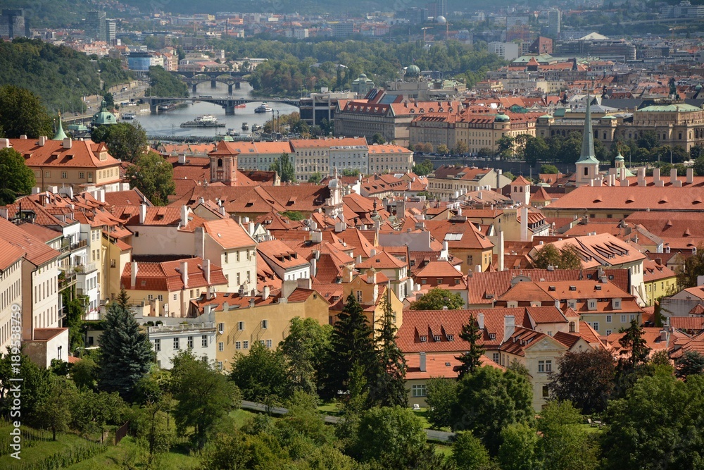  view of the city