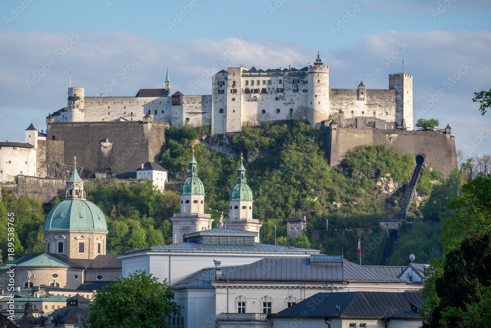 Fototapeta premium Fortress on hill in a beautiful summer day