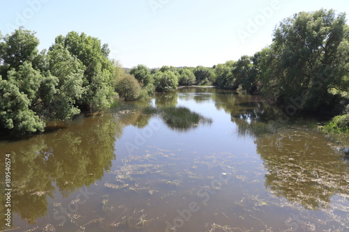 Fluss im Gr  nen