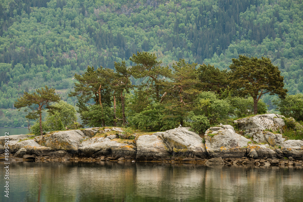 Vegetation island on Lustrafjord, Norway.