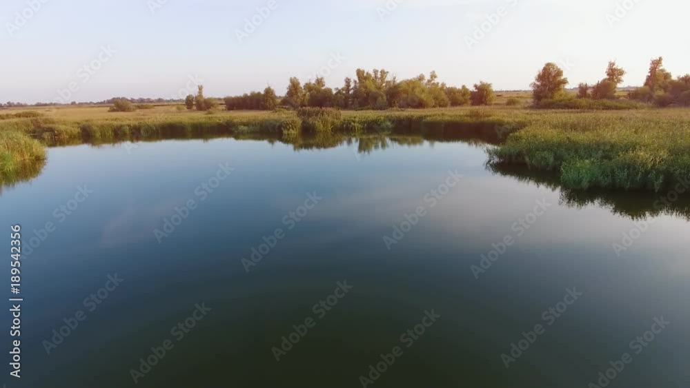 An original bird`s eye view of a dark blue surface of the Dnipro river. It is covered with lilies, green spatter-docks, sedge, lily, in summer