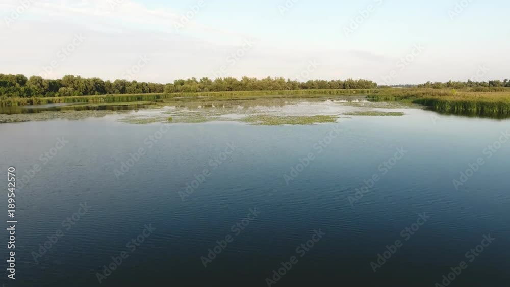 An enigmatic bird`s eye view of a picturesque surface of the Dnipro river. It is covered with lilies, green spatter-docks, sedge in summer An enigmatic bird`s eye view of a picturesque surface of the Dnipro river. It is covered with lilies, green spatter-docks, sedge in summer