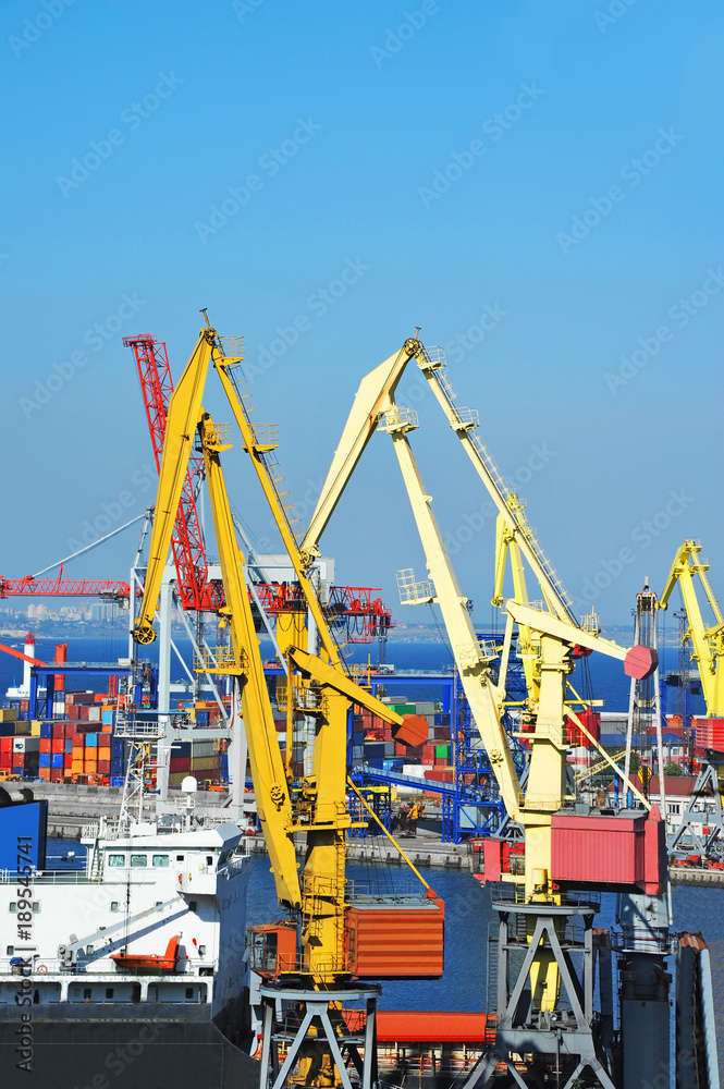 Bulk cargo ship under port crane