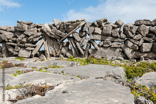 Fotografi Typical stone walls delimiting fields on The Aran Islands, a group of three islands located at the mouth of Galway Bay, on the west coast of Ireland