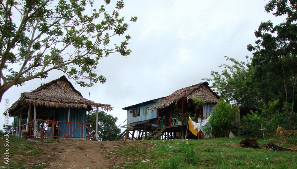 Casas rurales típicas de la región del Amazonas. Stock Photo | Adobe Stock