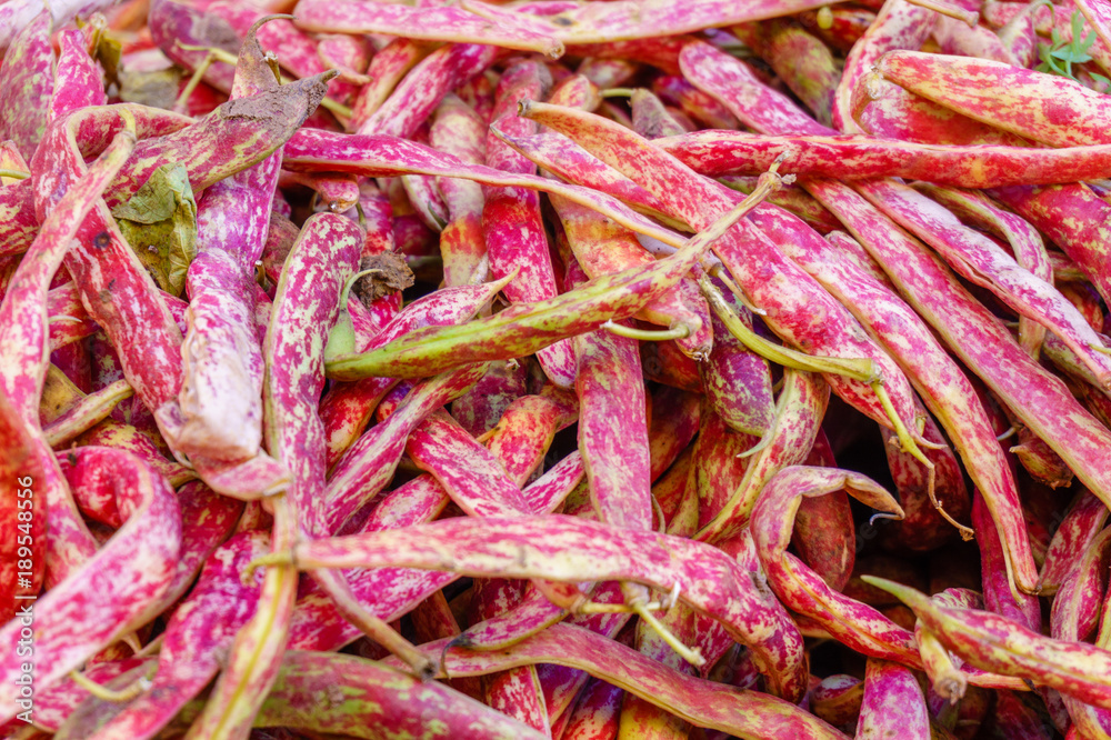 fresh pink string beans on the market