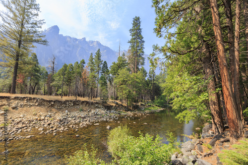 Fototapeta Naklejka Na Ścianę i Meble -  The beautiful merced river in Yosemite National Park