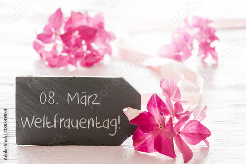 Fototapeta Naklejka Na Ścianę i Meble -  Hydrangea Blossom, Weltfrauentag Means International Womens Day