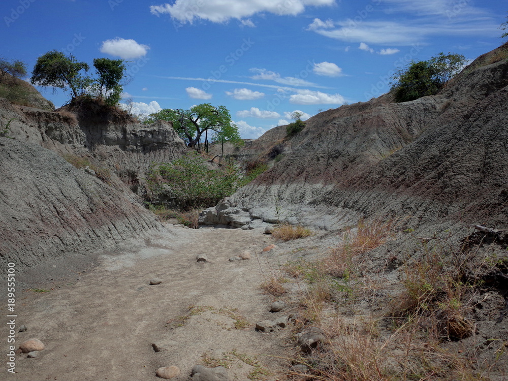 The Lunar landscape of Los Hoyos, the Grey Desert, part of Colombia's Tatacoa Desert. The area is an ancient dried forest and popular tourist destination.