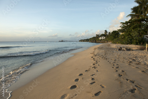 Trail of Footprints in Sand by the Ocean and Trees