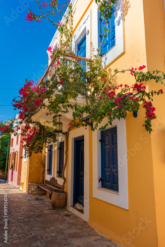 Fototapeta Naklejka Na Ścianę i Meble -  Flowers and walls of neoclassical houses in Nimborio on island of Halki (Greece)