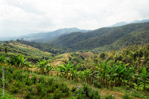 Scenic landscape on the mountains and palm trees. Yun Lai, Pai, Thailand.