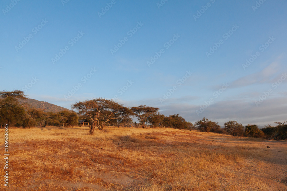 Fototapeta premium Landscape in Kenya