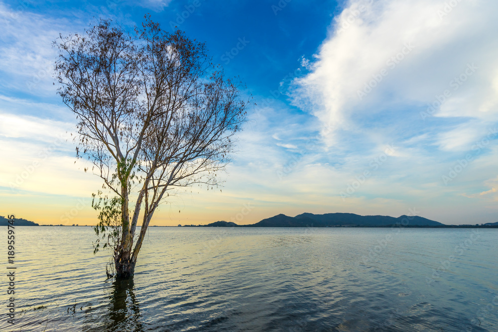 View at Bang Phra Reservoir, Sriracha, Chonburi, Thailand