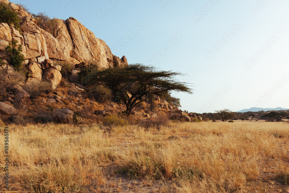 Fototapeta premium Landscape in Kenya