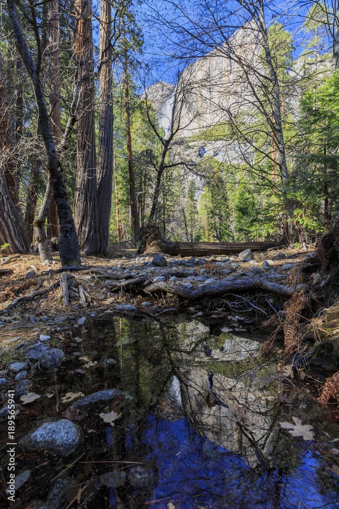 Lower and upper yosemite fall, Yosemite National Park, California, USA