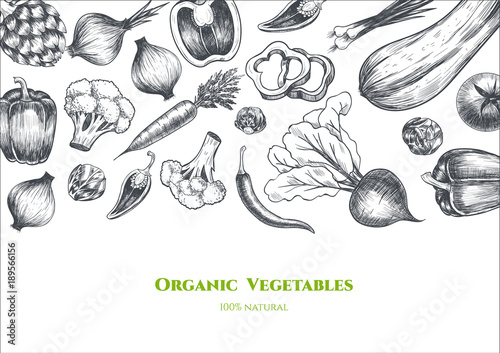 Vector frame with vegetables . Hand drawn. Vintage style
