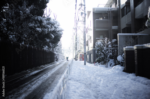 TOKYO SNOW