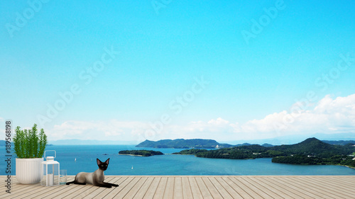 Grey cat on terrace with sea view in hotel or restaurant - Dining area on island view and sea view - Simple design artwork for vacation time - 3D Rendering