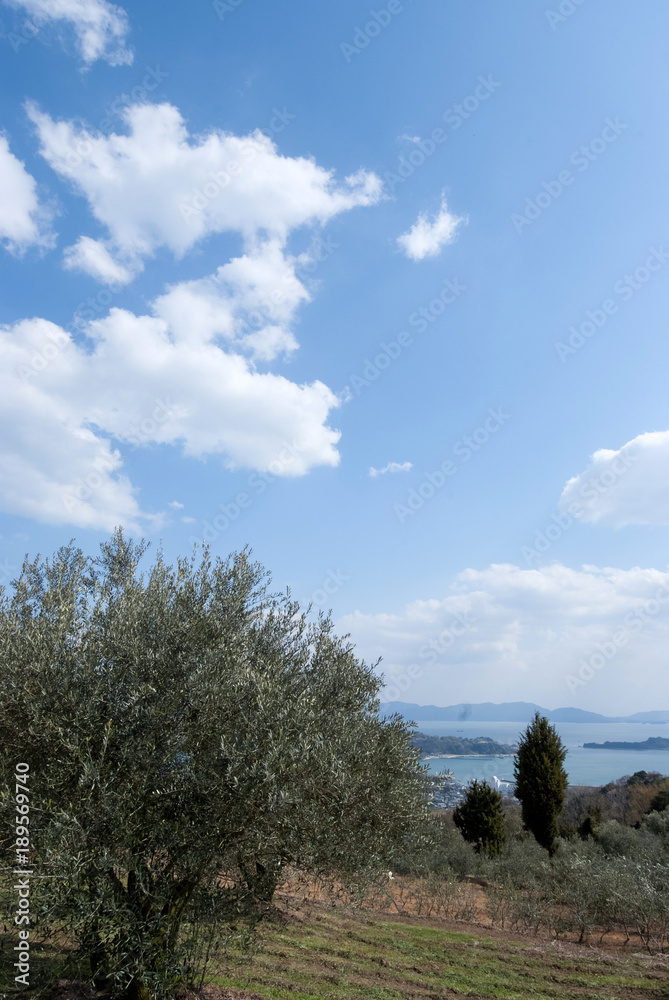 Obraz premium Japan Usimado