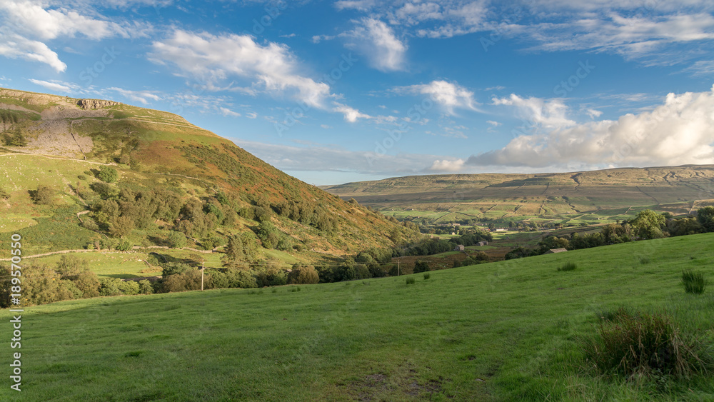 Fototapeta premium Yorkshire Dales near Skeugh Head, seen from the B6270 road between Kirkby Stephen and Gunnerside, North Yorkshire, UK