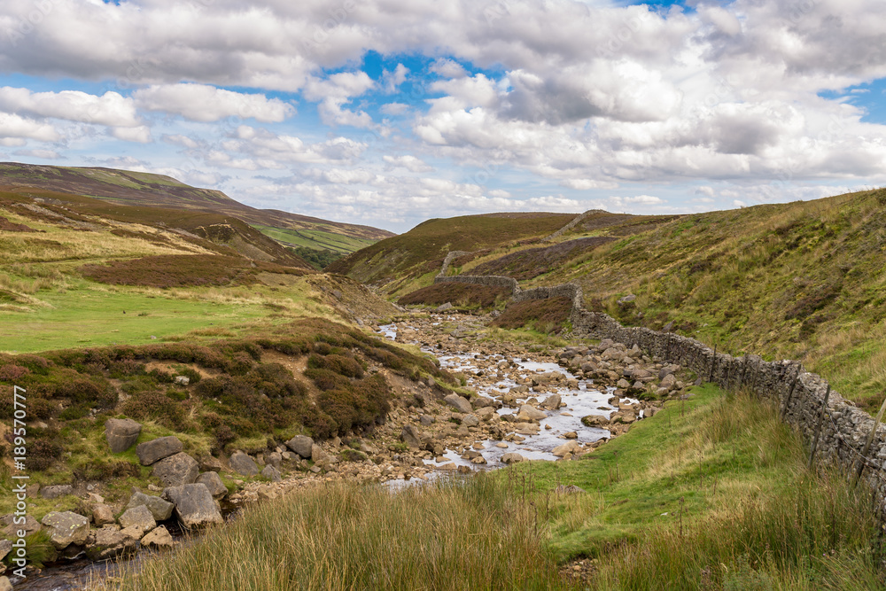 Yorkshire Dales landscape near Surrender Bridge, between Feetham and Langthwaite, North Yorkshire, UK